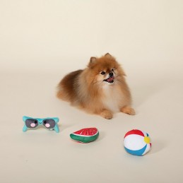 Speelgoed voor kleine hondjes