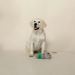 Hondenspeelgoed koala kopen