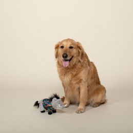 Hondenspeelgoed kopen