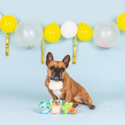 Hondenspeeltjes met geluid