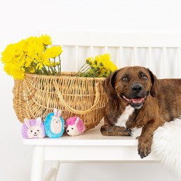 Pasen speelgoed hond goedkoop