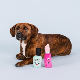 Hondenspeelgoed snacks kopen