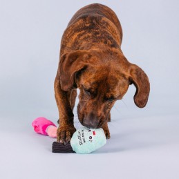 Hondenspeelgoed snoep kopen