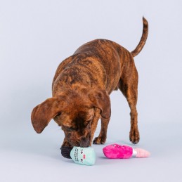 Hondenspeelgoed treat dispenser