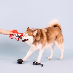 Leuke hondenspeeltjes