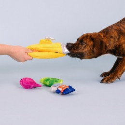 Interactief honden speelgoed