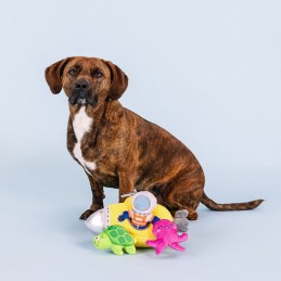 Interactief hondenspeelgoed