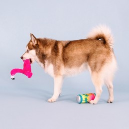 Flamingo hondenspeelgoed kopen