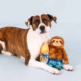 Honden speelgoed surfen