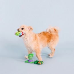 Speeltjes voor kleine hondjes kopen online