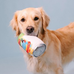 Leuke hondenspeeltjes kopen online