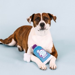 Hondenspeeltjes met touw