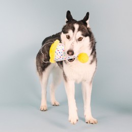 feesthoed knuffel hond