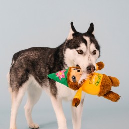 hondenspeelgoed kabouter