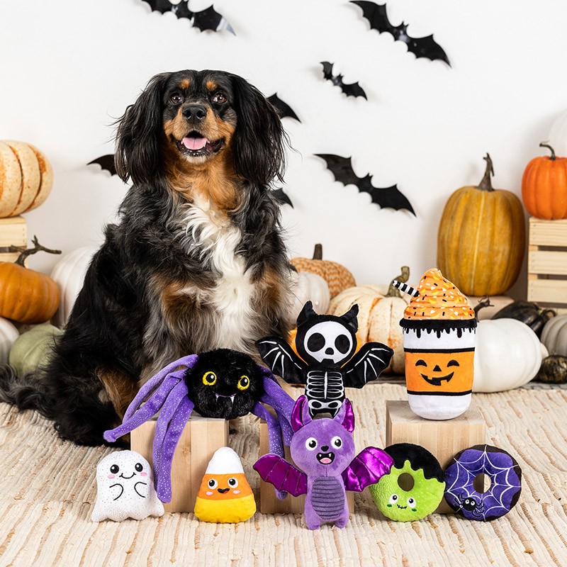 Verlichte gele LED riem hond - Funky-Dogs.com Verlichte gele LED riem hond - Funky-Dogs.com