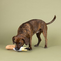 Leukste hondenspeeltjes online kopen