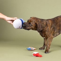 Grappig hondenspeelgoed online