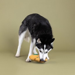 Speelgoed voor honden online kopen