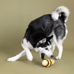 Speeltjes voor honden online kopen