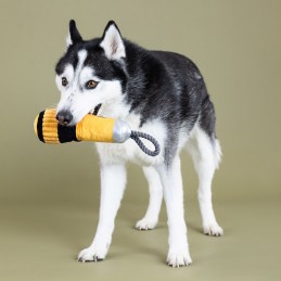 Speeltjes voor honden kopen