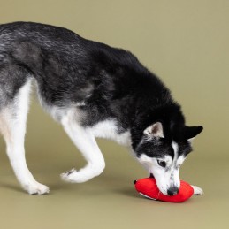 Pluche hondenspeelgoed bestellen