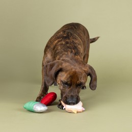 Speelgoed voor kleine hondjes bestellen