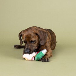 Speelgoed voor kleine hondjes kopen online