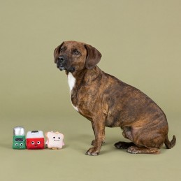 Speelgoed voor kleine hondjes kopen