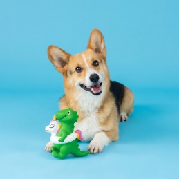 Hondenspeeltjes bestellen | 366011 - Pool side rex | Latex