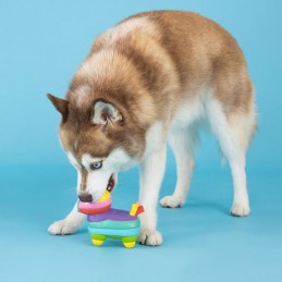 Hondenspeelgoed latex kopen