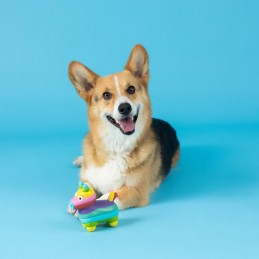 Honden speelgoed latex