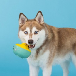 Latex Hondenspeeltjes online | 366014 - You make miso happy | Latex