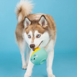 Hondenspeeltjes kopen | 366014 - You make miso happy | Latex