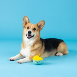 Latex Hondenspeeltjes | 366014 - You make miso happy | Latex