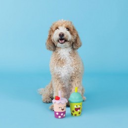 Hondenspeeltjes Labradoodle | 368012 - Set Best-teas | Latex