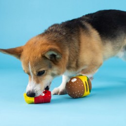 Leukste Hondenspeeltjes
