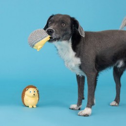 stevig hondenspeelgoed online