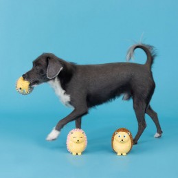 stevig hondenspeelgoed