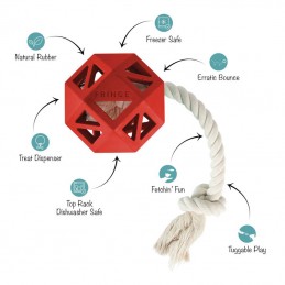 Stevige hondenspeeltjes