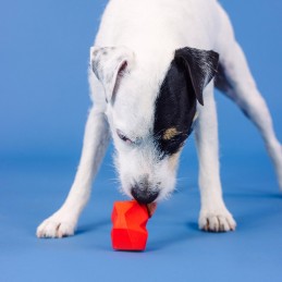 Hondenspeeltje snacks