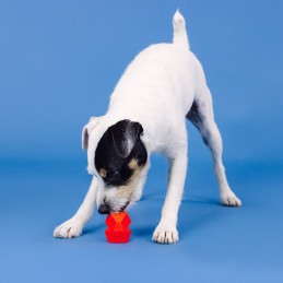 Hondenspeeltjes voor snacks
