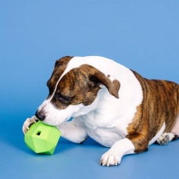 Honden snackbal kopen online