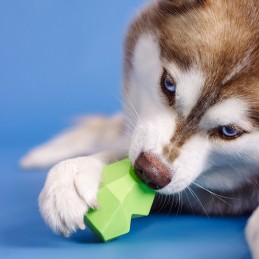 voerspeeltje hond kopen