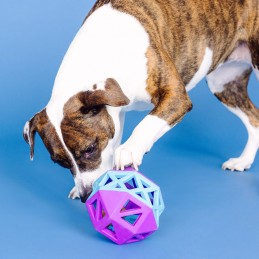 Stevige hondenspeeltjes voor slopers