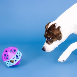 Stevige honden speeltjes voor slopers