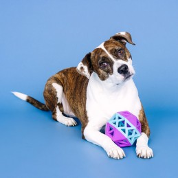 Stevige speeltjes voor slopers