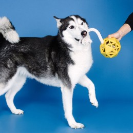 Onverwoestbaar speelgoed hond online