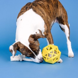 Onverwoestbaar speelgoed hond online kopen
