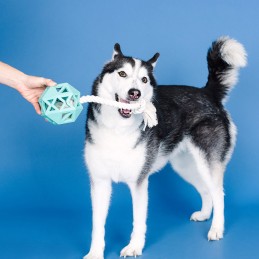 Sterk honden speelgoed