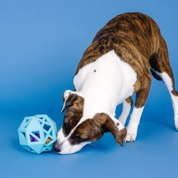 Speelgoed voor honden onverwoestbaar